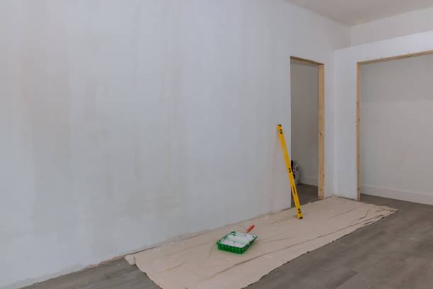 Best Drywall Crack Repair  in Kaukauna, WI